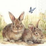 Decoupage Napkin - (DN-8177) - Bunny and Clyde