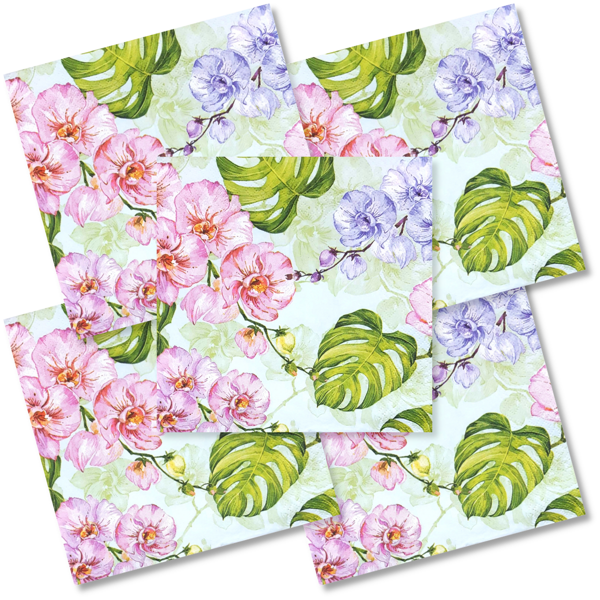 Decoupage Napkin - (DN-8189) - Wild Orchid with Monstera Leaves - Set of 5