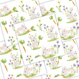 Decoupage Napkin - (DN-8216) - Bunnies with Carrots - Set of 5