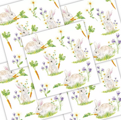 Decoupage Napkin - (DN-8216) - Bunnies with Carrots - Set of 5