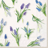 Decoupage Napkin - (DN-8223) - Spring Muscari - Set of 5