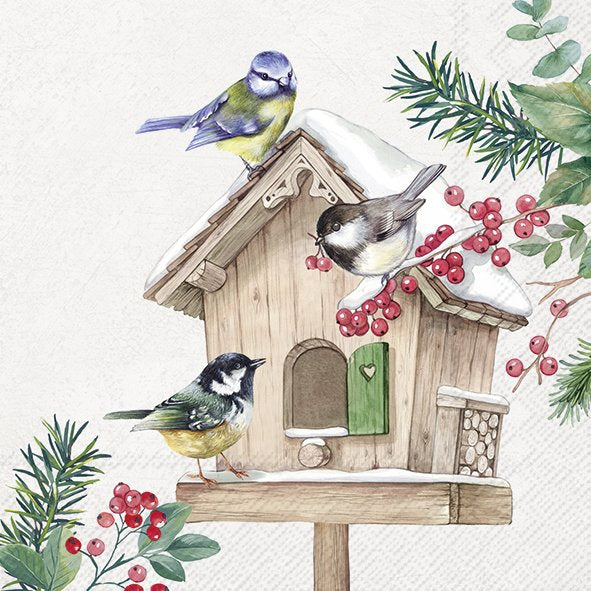 Decoupage Napkin - (DN-8236) -  Birds Meeting Point