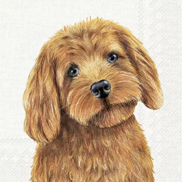Decoupage Napkin - (DN-8244) - Farm Dog - Set of 5