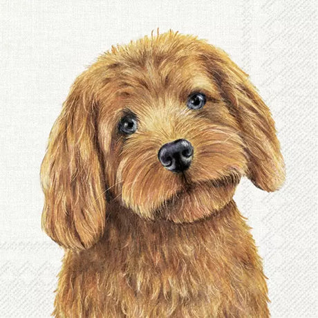 Decoupage Napkin - (DN-8244) - Farm Dog - Set of 5