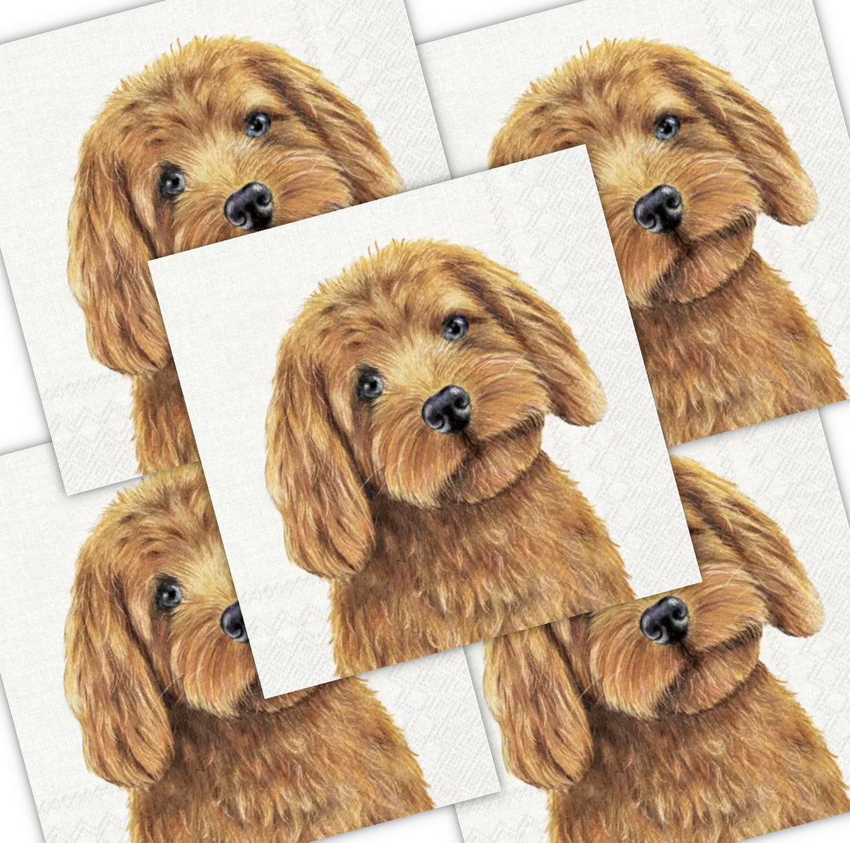 Decoupage Napkin - (DN-8244) - Farm Dog - Set of 5