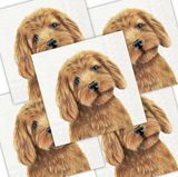 Decoupage Napkin - (DN-8244) - Farm Dog - Set of 5