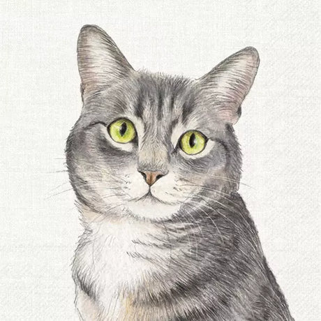 Decoupage Napkin - (DN-8249) - Farm Cat - Set of 5