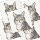 Decoupage Napkin - (DN-8249) - Farm Cat - Set of 5