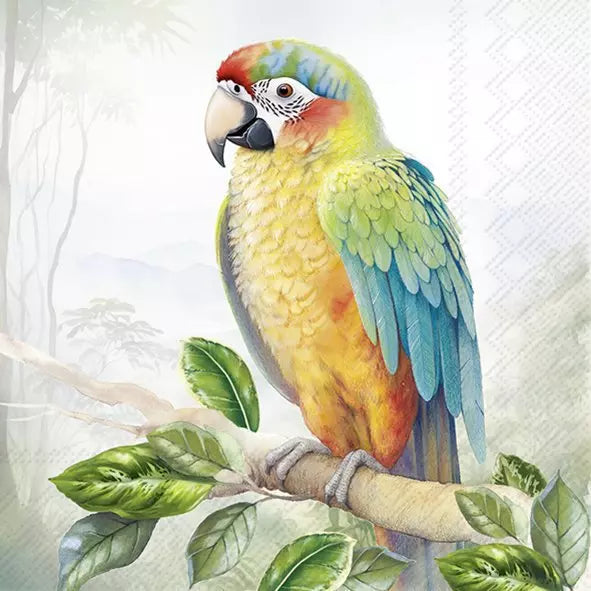 Decoupage Napkin - (DN-8251) - Exotic Parrot - Set of 5