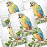 Decoupage Napkin - (DN-8251) - Exotic Parrot - Set of 5