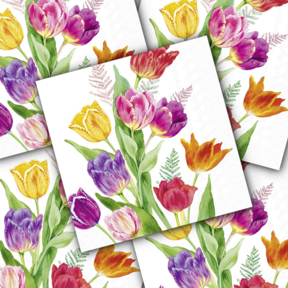 Decoupage Napkin - (DN-8423) - Bright Tulips - Set of 5