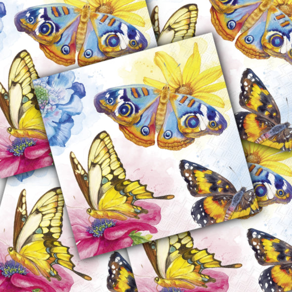 Decoupage Napkin - (DN-8424) - Garden Beauties - Set of 5