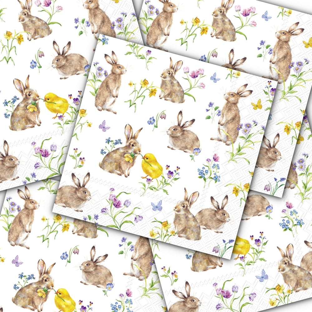 Decoupage Napkin - (DN-8485) - Easter Friends - White - Set of 5