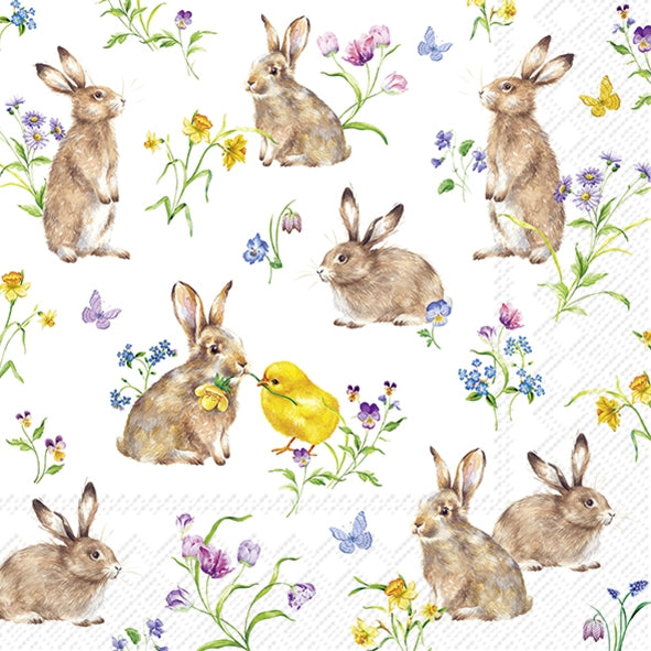 Decoupage Napkin - (DN-8485) - Easter Friends - White - Set of 5