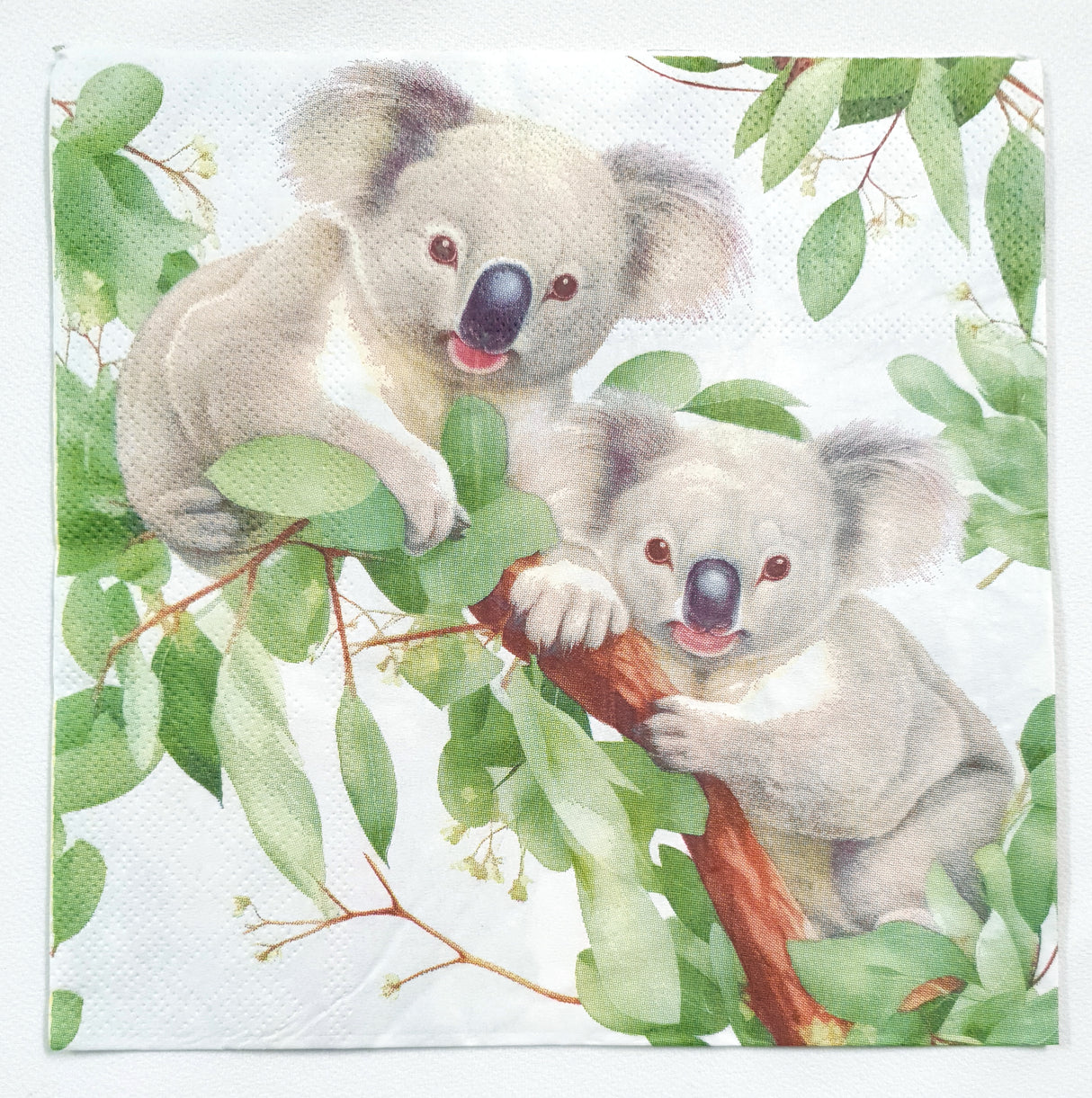 Decoupage Napkin - (DN-8510) - Koalas