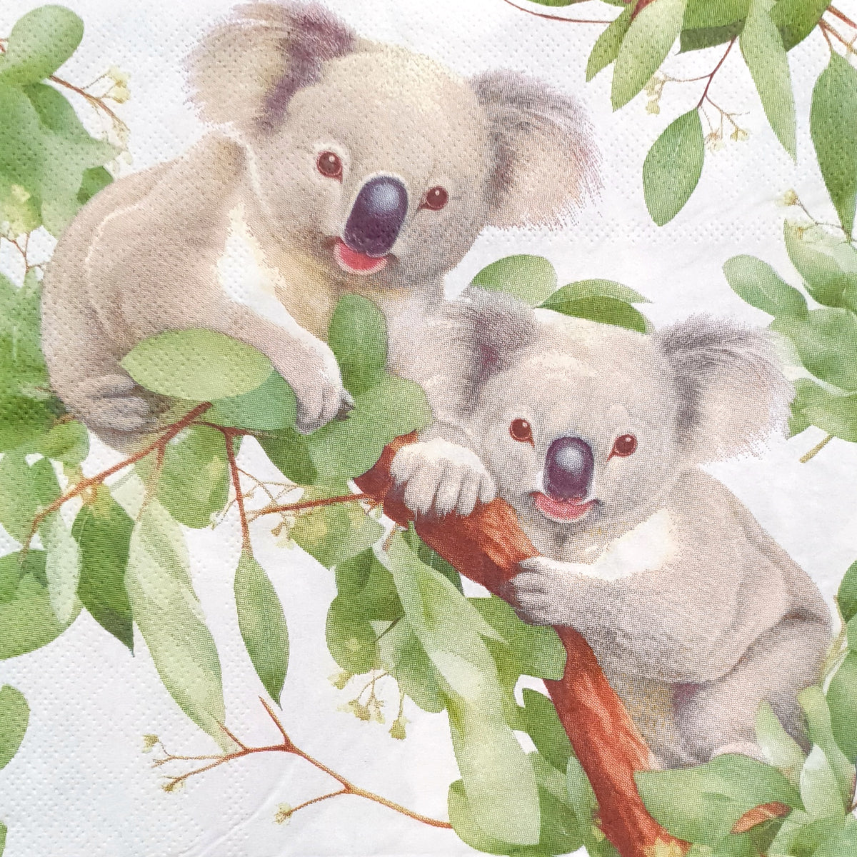 Decoupage Napkin - (DN-8510) - Koalas - Set of 5