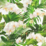 Decoupage Napkin - (DN-8511) - Orchids - Set of 5