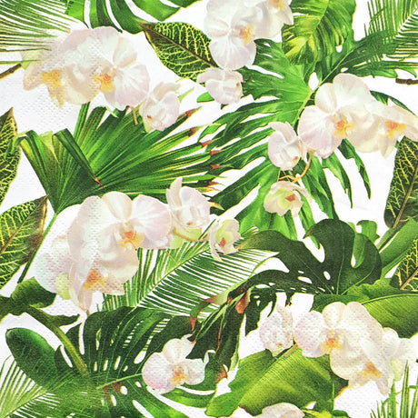Decoupage Napkin - (DN-8511) - Orchids - Set of 5