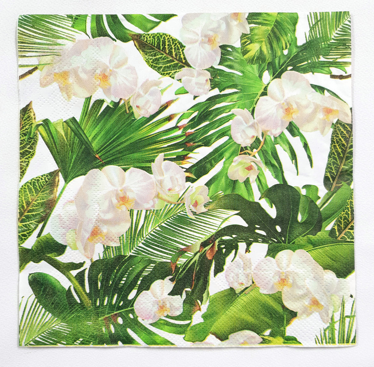 Decoupage Napkin - (DN-8511) - Orchids