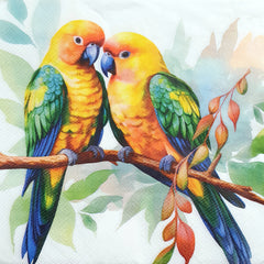 Decoupage Napkin - (DN-8512) - Birds