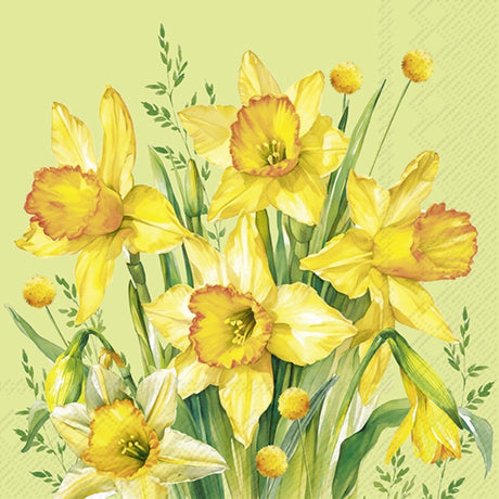 Decoupage Napkin - (DN-8536) - Narcissus Bouquet - Green - Set of 5