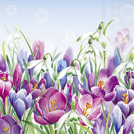 Decoupage Napkin - (DN-8542) - Crocus - Light Blue - Set of 5