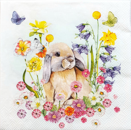 Decoupage Napkin - (DN-8653) - Little Rabbit - Set of 5