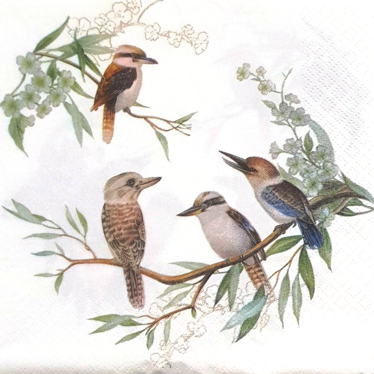 Decoupage Napkin - (DN-8693) - Kookaburras - Set of 5