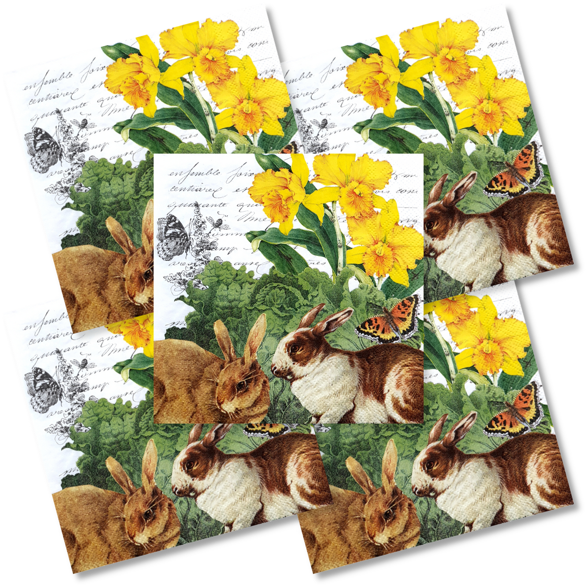 Decoupage Napkin - (DN-8729) - Hare Cabbage - Set of 5