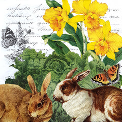 Decoupage Napkin - (DN-8729) - Hare Cabbage