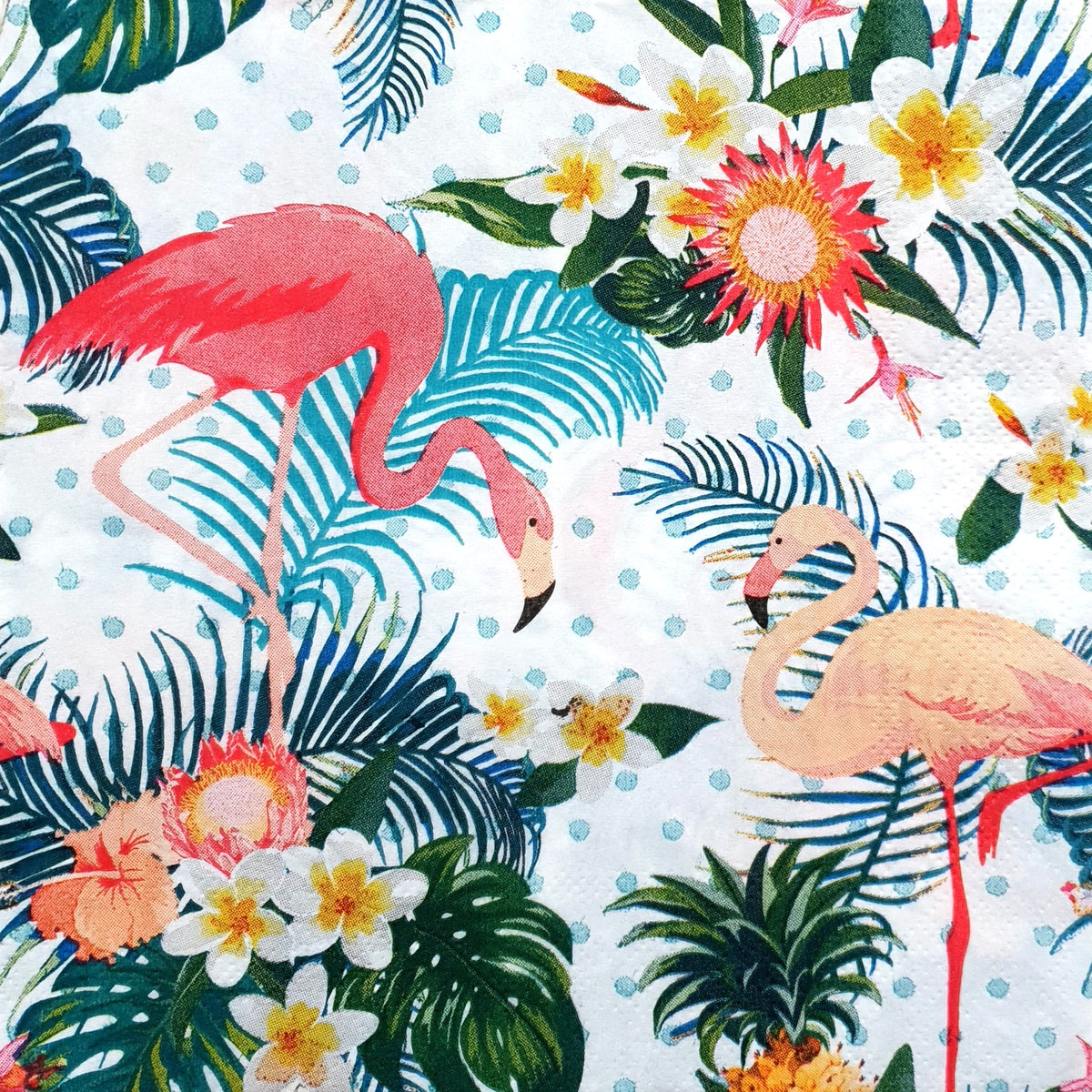Decoupage Napkin - (DN-8814) - Flamingos - Set of 5