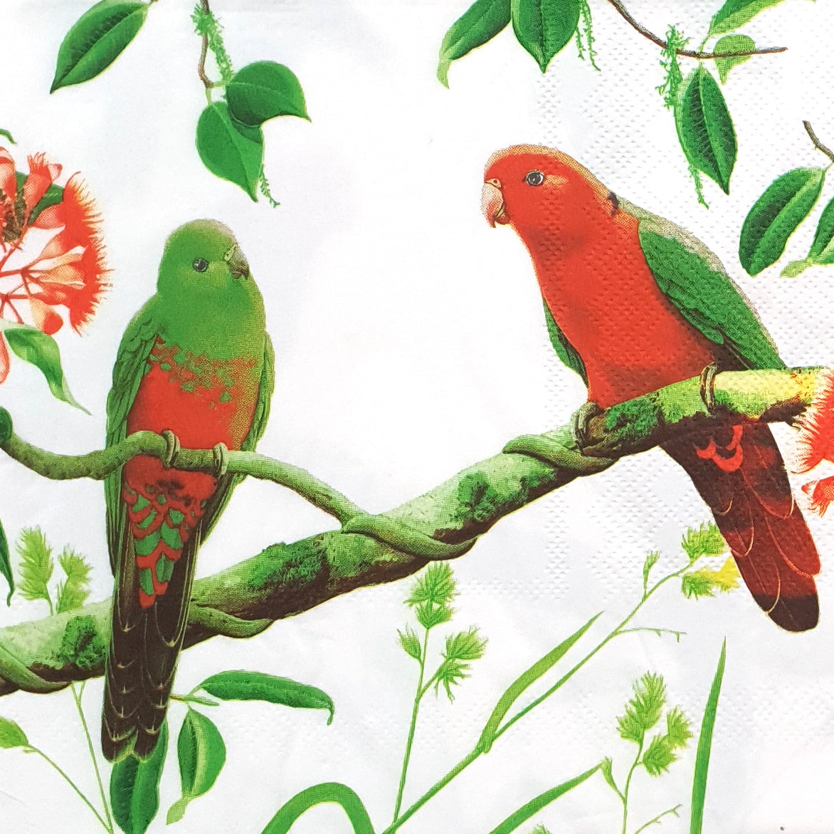 Decoupage Napkin - (DN-8912) - Birds