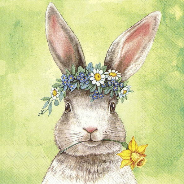 Decoupage Napkin - (DN-8985) - Easter Friends Bunny - Green