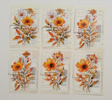 Mini Ephemera Pack - 9802 - Picked at Random