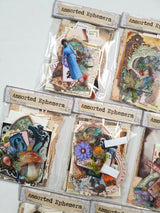 Assorted Ephemera Pack - Picked at Random