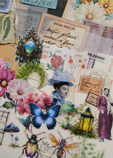 Assorted Ephemera Pack - Picked at Random