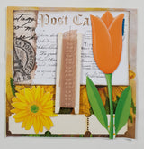 Inspiration Pack - BB