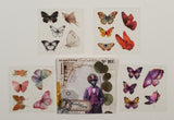 Stickers Inspiration Pack - BF