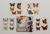 Stickers Inspiration Pack - BI