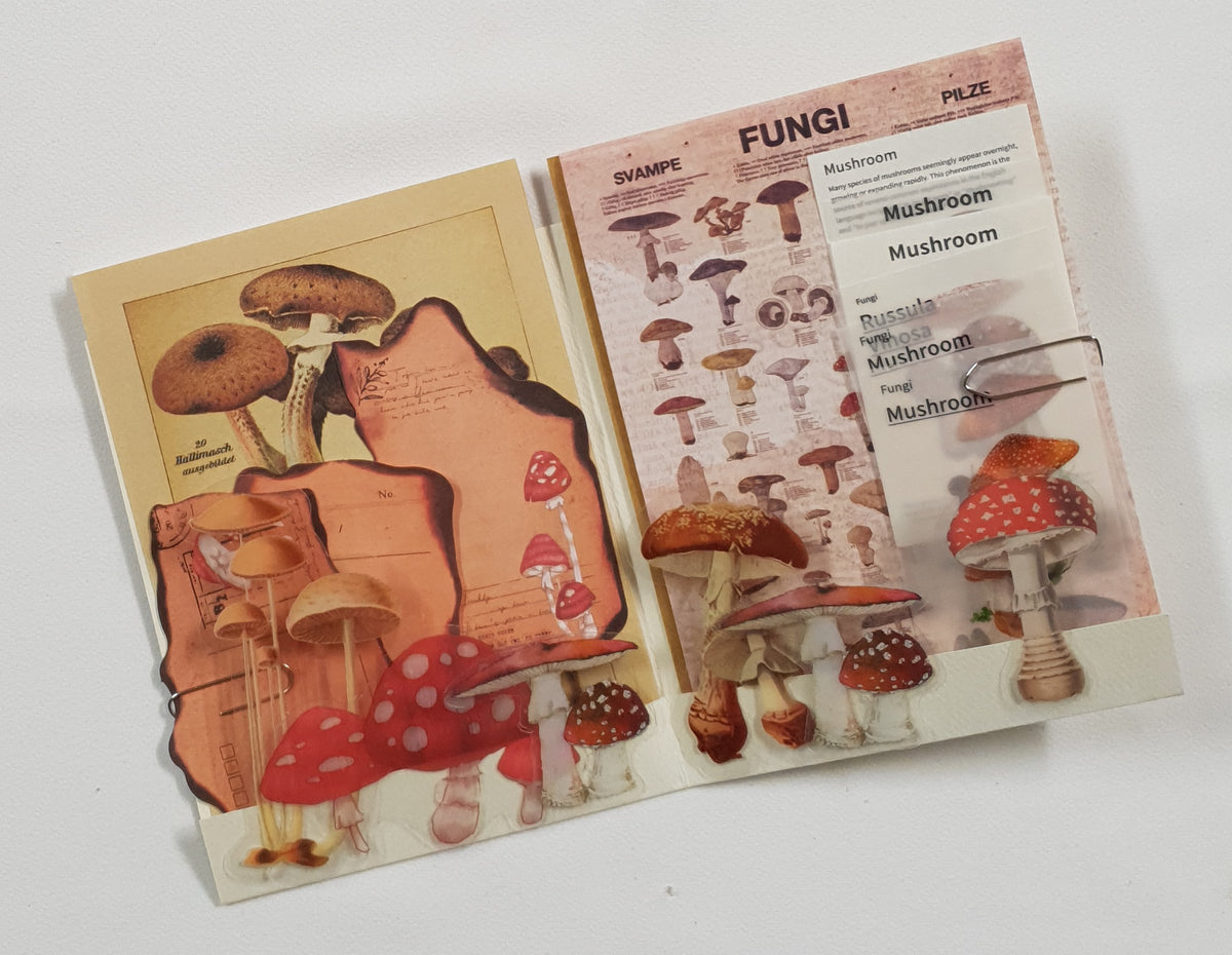 Motherloads Mushroom Ephemera Pack - BK - Selected at Random