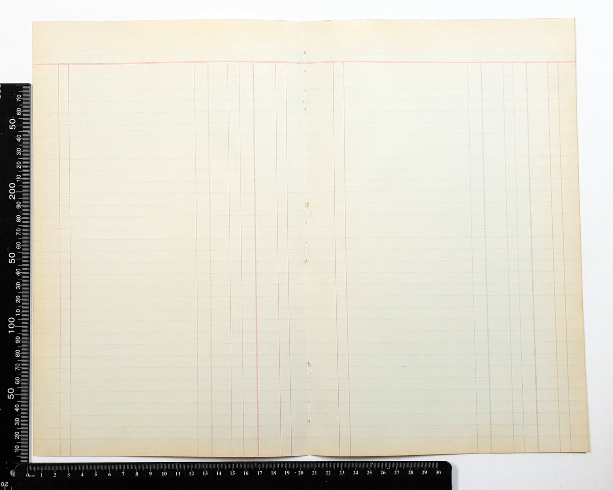 Authentic Vintage Blank Ledger Pages Pack