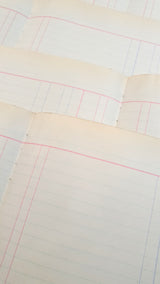 Authentic Vintage Blank Ledger Pages Pack