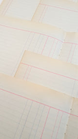 Authentic Vintage Blank Ledger Pages Pack
