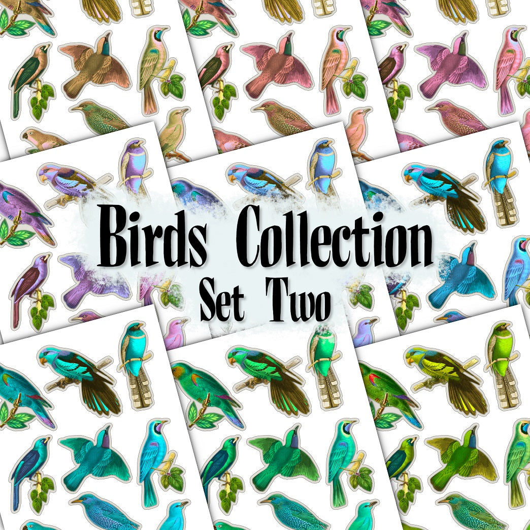 Birds Collection - Set Two - DI-10271 - Digital Download