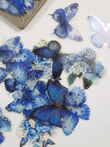 Tin of Assorted Stickers - Butterflies - Blue