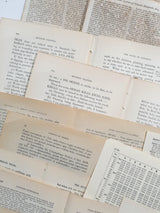 Vintage/Antique Paper Bundle
