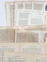 Vintage/Antique Paper Bundle