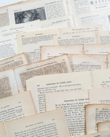 Vintage/Antique Paper Bundle
