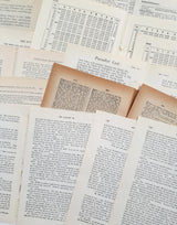 Vintage/Antique Paper Bundle