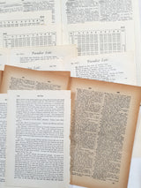 Vintage/Antique Paper Bundle